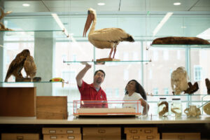 Students and faculty examining animals in the Zoology Teaching Labs